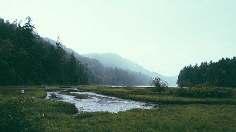 Headless Commerce Architecture: Building Scalable, Future-Proof Online Stores with React & Next.js