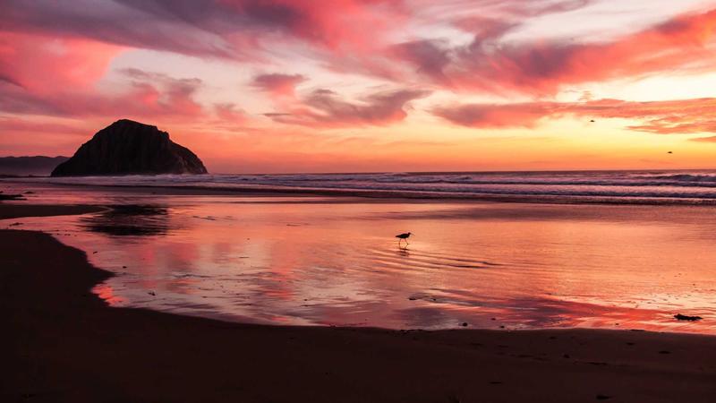 Cloud Cost Optimization: 20 Strategies That Actually Work