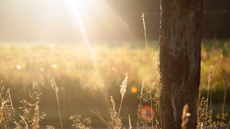 HIPAA Compliance for Healthcare Software Development: The Complete 2026 Checklist